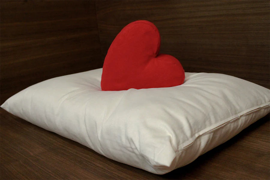 Natural Kapok Pillows - Soaring Heart