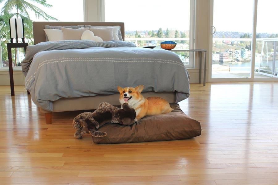 Organic Doggie Dreams Bed - Soaring Heart